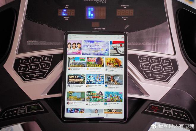 跑步机 减震什么牌子好_牌子减震跑步机好吗_牌子减震跑步机好用吗知乎