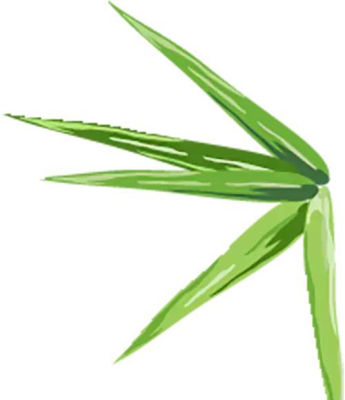 新闻概括练习_新闻概括题怎么写_新闻概括题的解题技巧