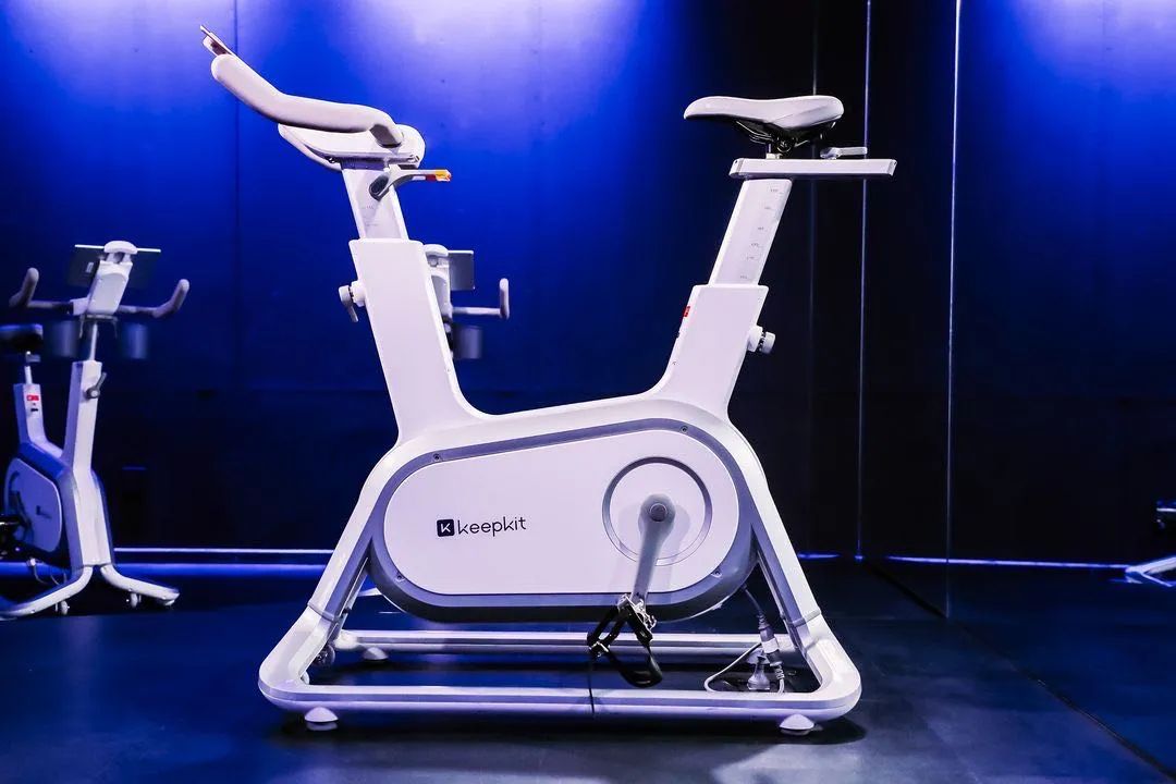 跑步机十大品牌排行榜中跑步机_跑步机品牌排行榜2020_跑步机排名前十有哪些