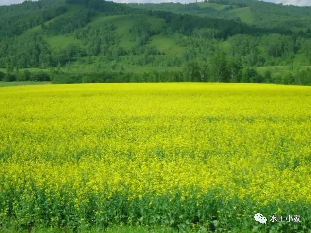 通讯体裁事迹材料特点_通讯体裁事迹材料600字_什么是通讯体裁特点