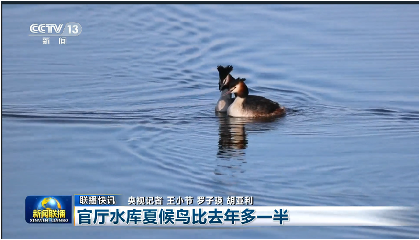 新闻节目片头语_新闻节目片头曲_新闻节目片头