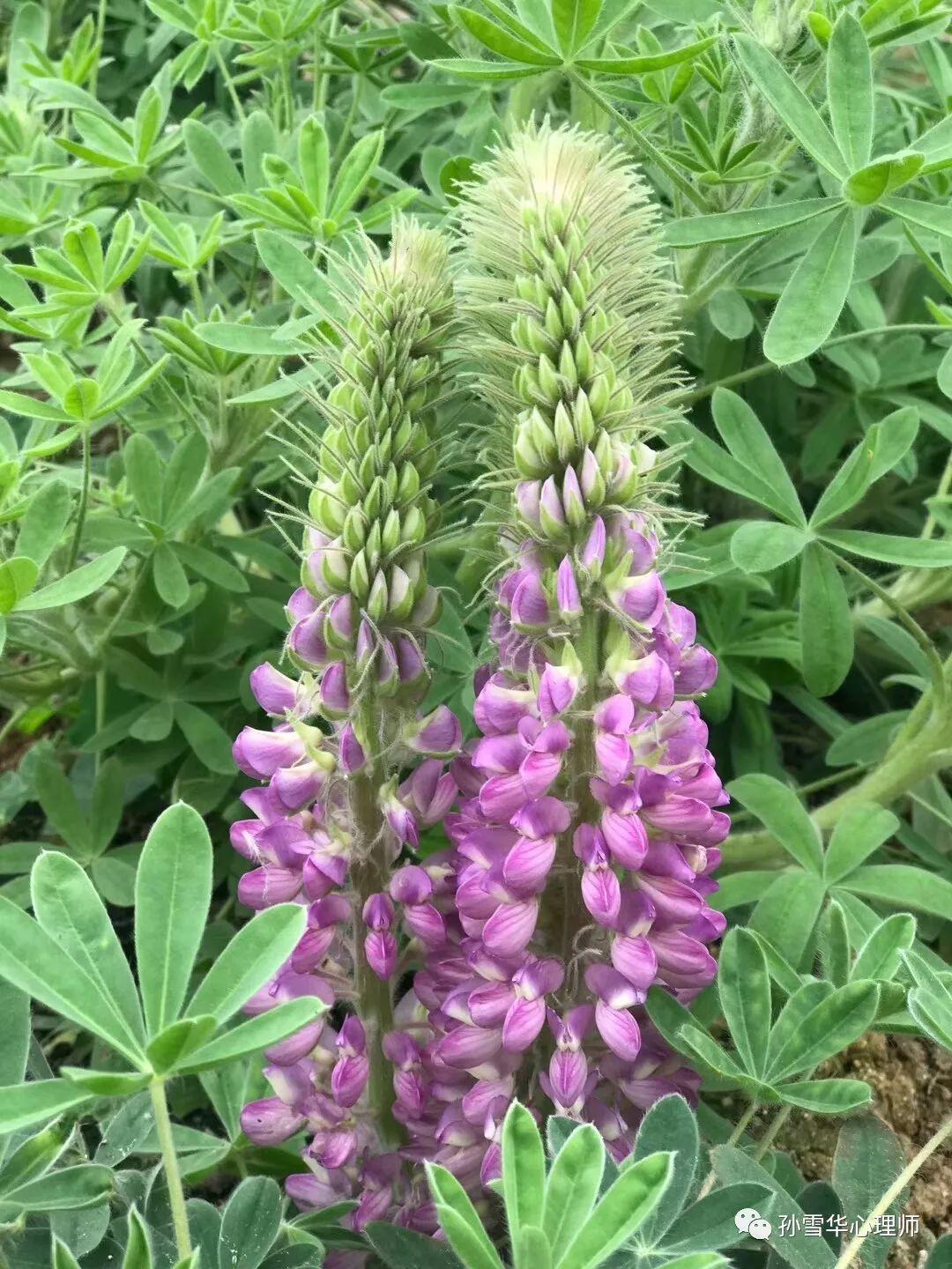 kaiyun下载app下载安装手机版 七种正念练习方法让心理充满阳光