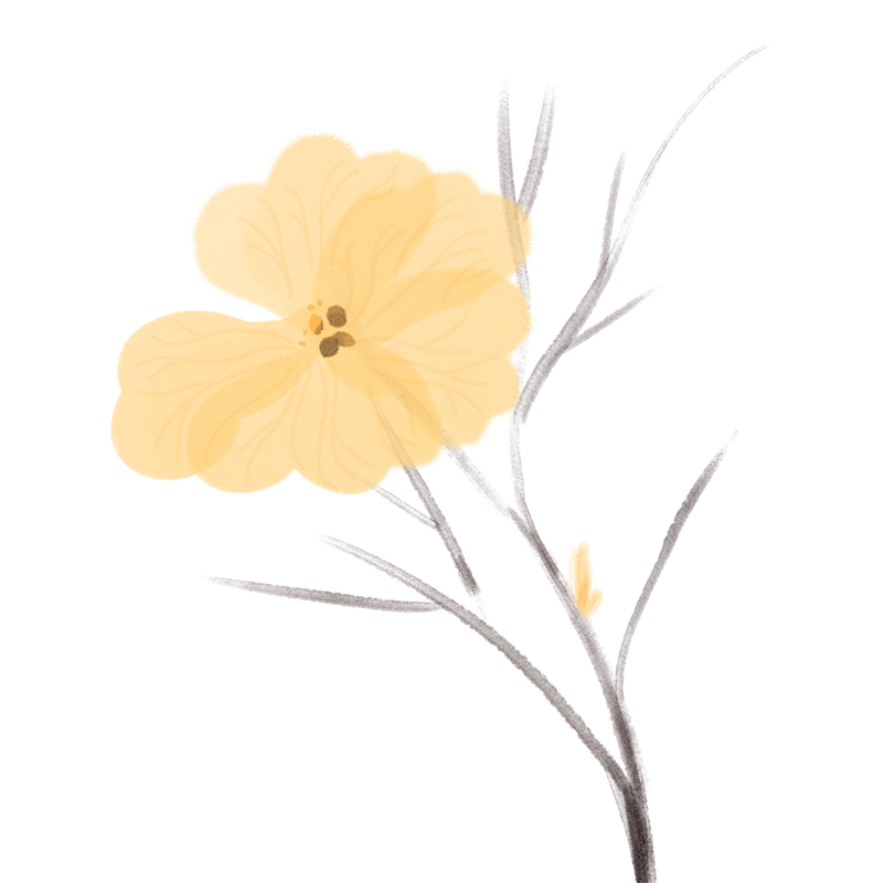 通讯稿校运会15字_校运会通讯稿100字_通讯稿校运会100字范文大全