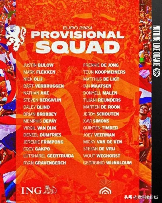 荷兰无冕之王足球_荷兰队 无冕之王_无冕之王荷兰悲情史