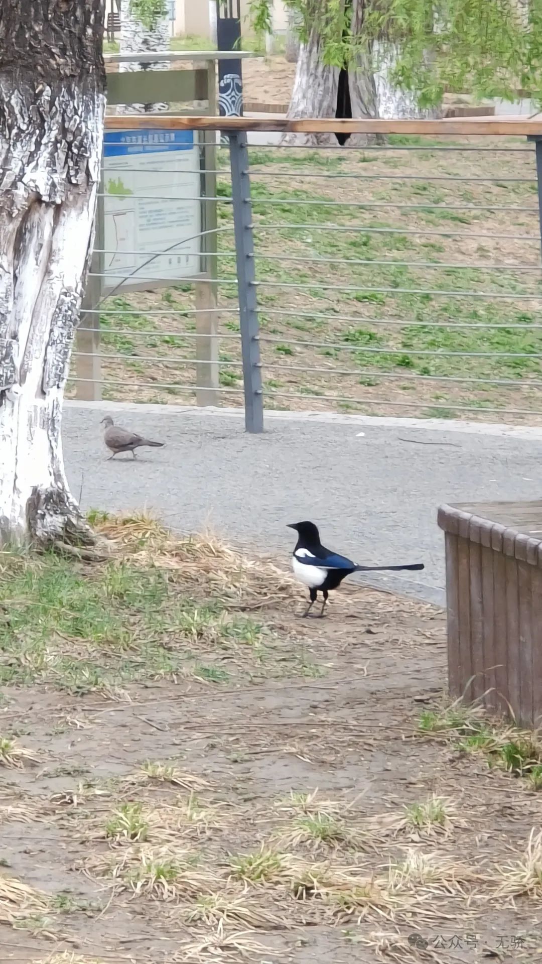 节奏拍子训练软件_节拍器软件推荐_节拍练习软件