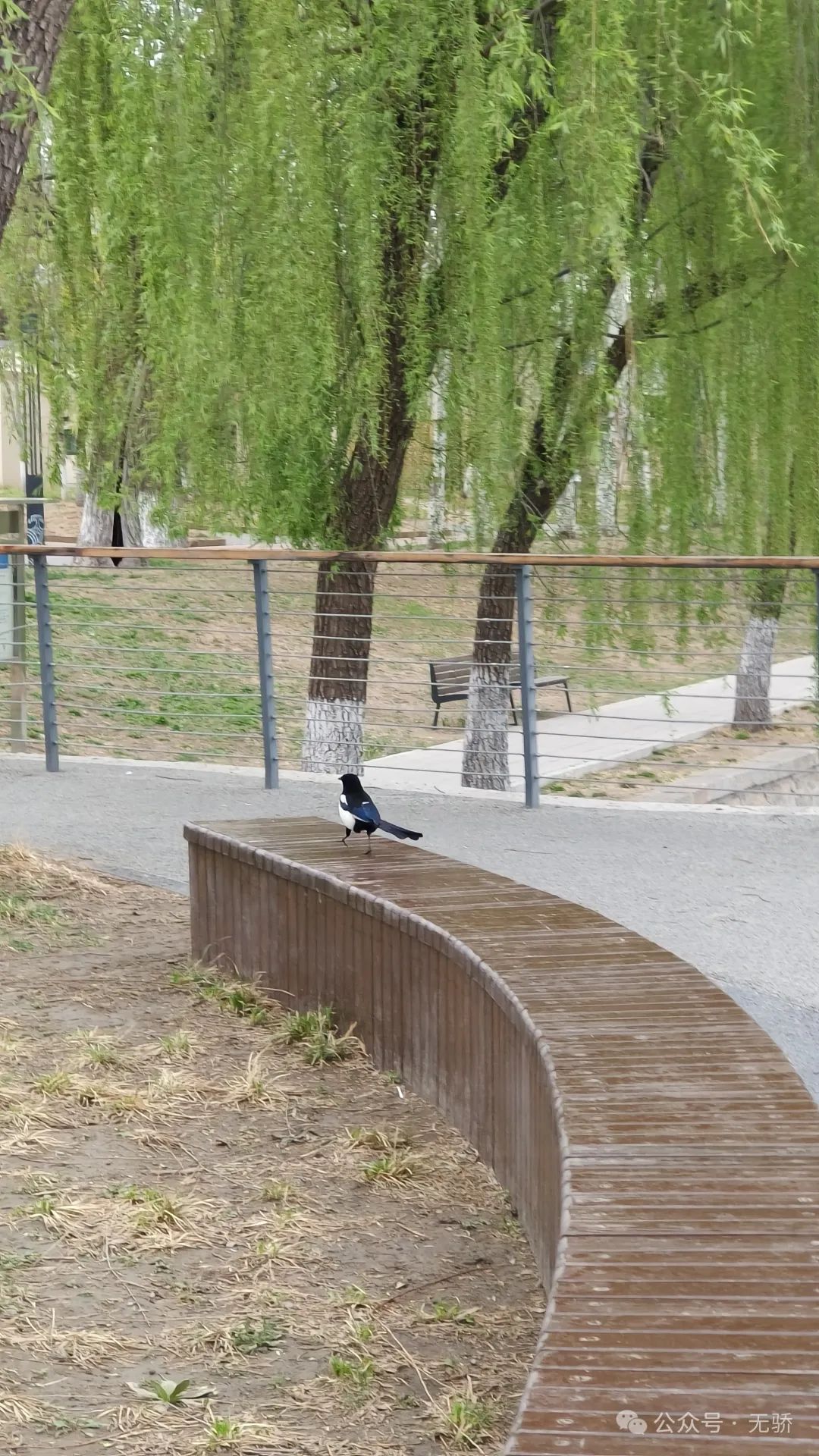 节奏拍子训练软件_节拍器软件推荐_节拍练习软件