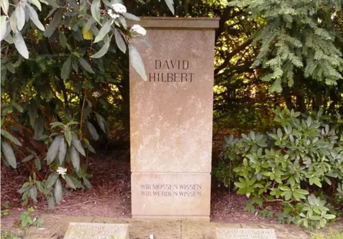 数学家无冕之王_数学界的无冕之王_哪位数学家是数学界的无冕之王