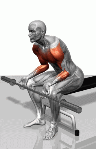 胸肌训练器怎么用_器械练胸_综合训练器 胸肌