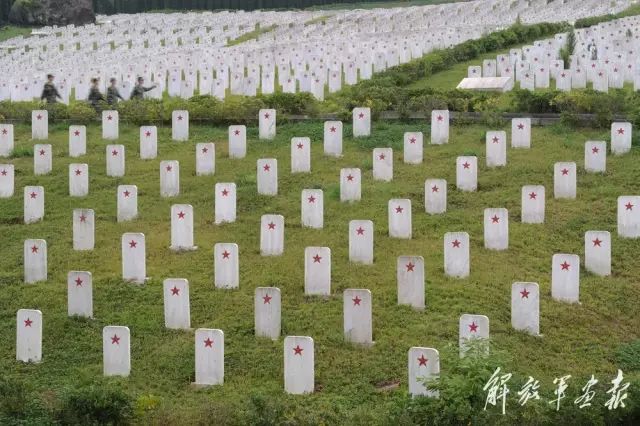 中国港湾张志峰_中国港湾董事长简历_张浩 中国港湾