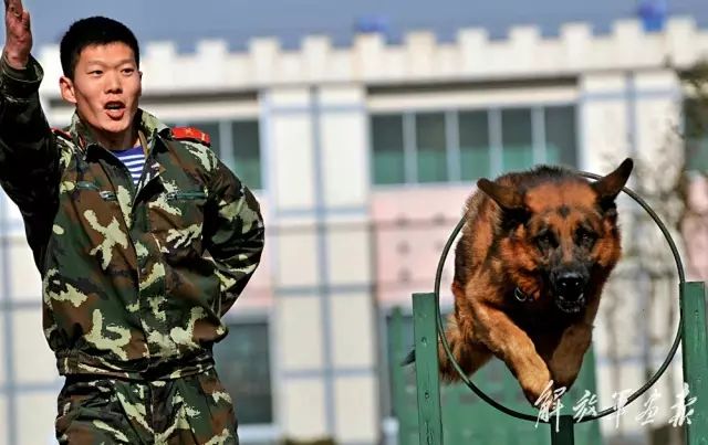 开元ky888棋牌官网版 清明｜我站在你热血浸染的土地上，静静沉思