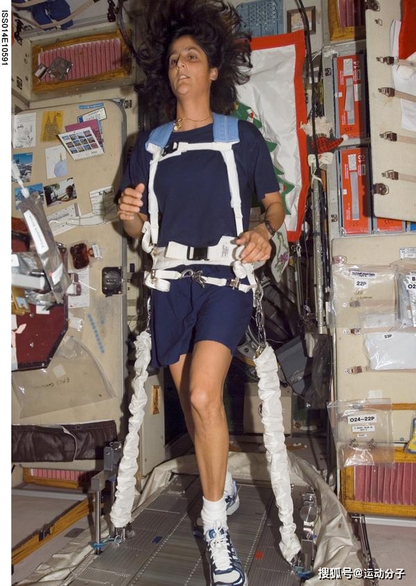 反重力跑步机原理_0重力跑步机_alterg反重力跑步机官网