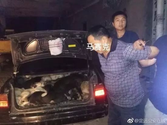 中新网娱乐滚动新闻_滚动新闻新浪网_滚动新闻app