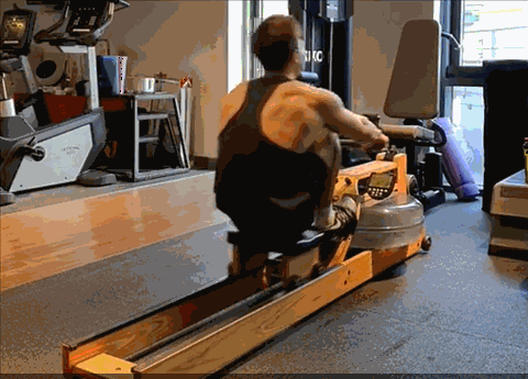 器械训练心得体会_综合训练器训练计划_综合训练器总结