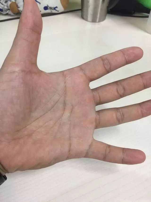 最好的健身手套_健身手套有用吗_健身的手套