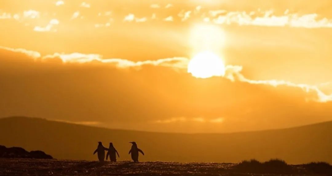 对话英语模板_简单英语对话练习_英语对话的英语