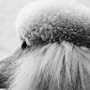 工伤备案情况说明格式_公司拖欠工资劳动局情况说明怎么写_予以矿工的情况说明怎么写