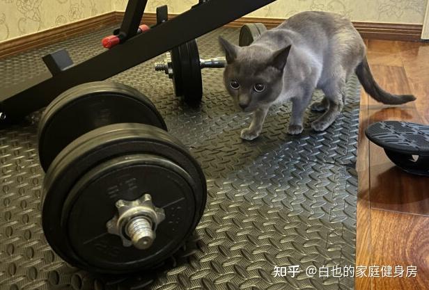 健身垫选购指南_健身垫材质区别_健身手套推荐 知乎