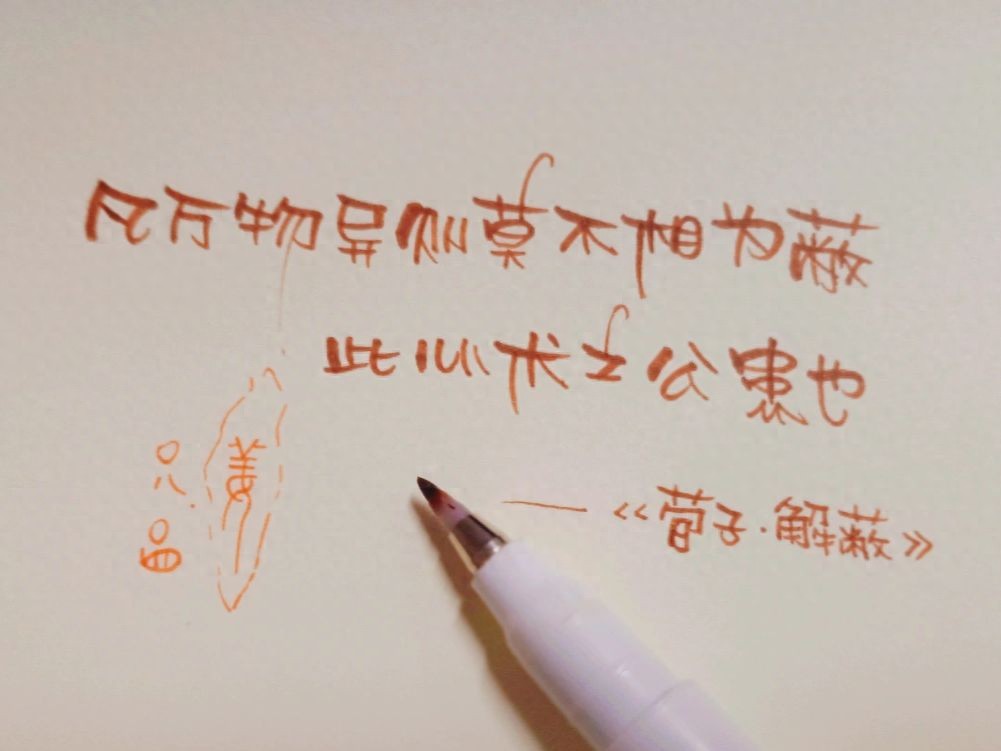 练习筷好不好_训练筷子有用吗_训练筷的弊端