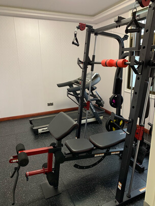 睿致史密斯机综合训练器评价_睿致史密斯机家用跑步机质量_综合训练器怎么样贴吧