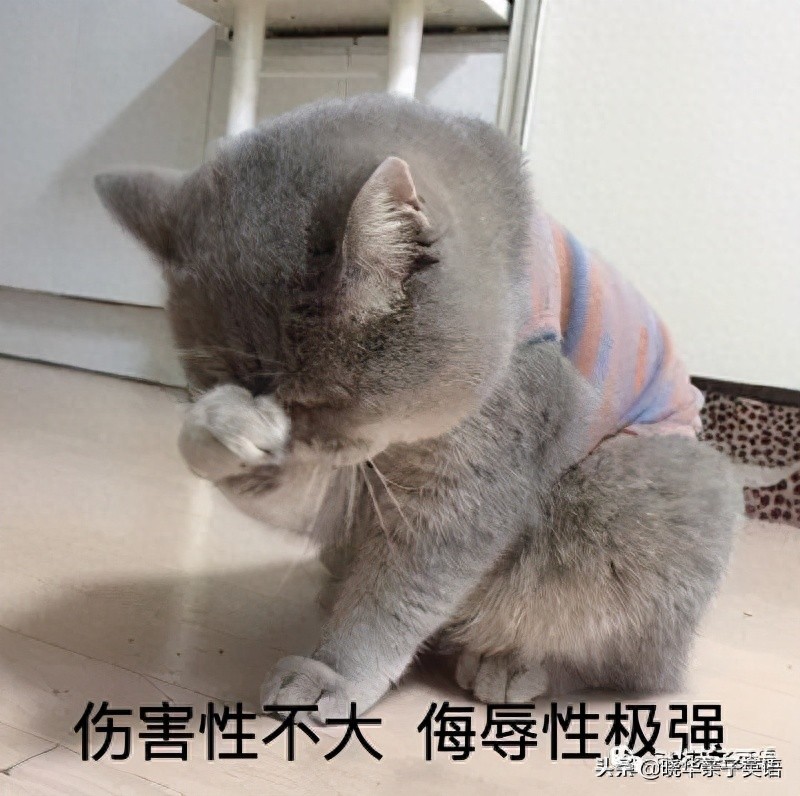 语言习得_英翻中 练习_英语启蒙