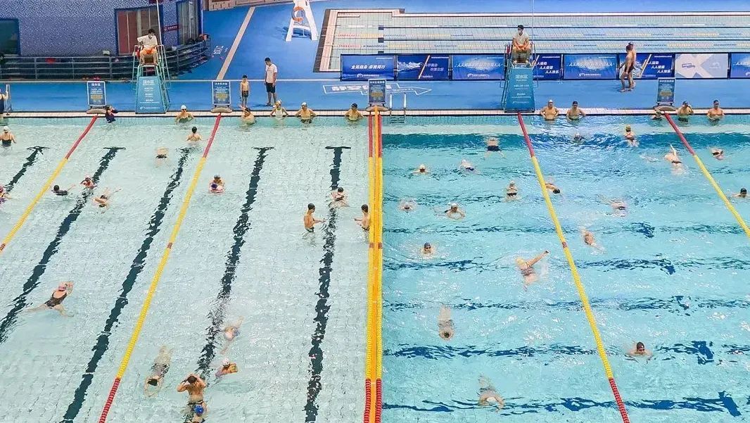 飞鸟训练器肌肉示意图_大飞鸟综合训练器_飞鸟训练器练胸肌