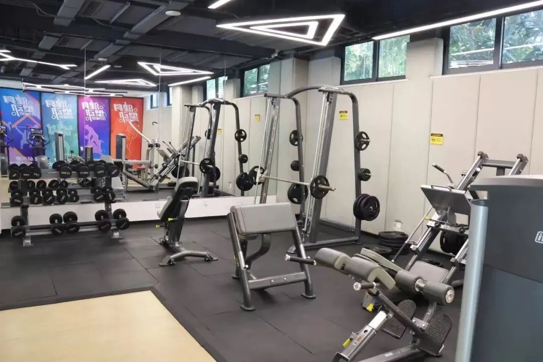 大飞鸟综合训练器_飞鸟器材标准姿势_飞鸟训练器肌肉示意图