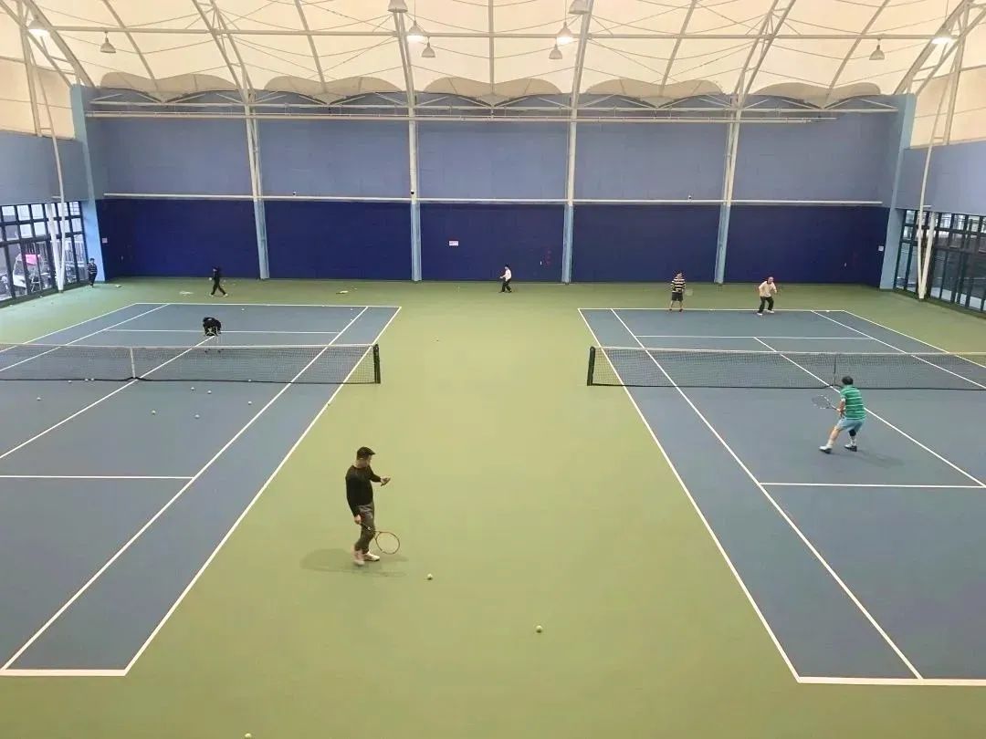 飞鸟器材标准姿势_飞鸟训练器肌肉示意图_大飞鸟综合训练器