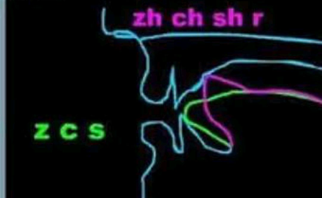 平舌音和翘舌音练习_n和l发音方法_捏鼻法指导发音
