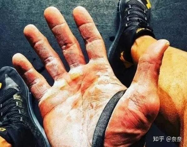 开元棋盘财神捕鱼官网版下载2023 2020年11月健身手套选购指南：新手入门必看，内含款6手套推荐！