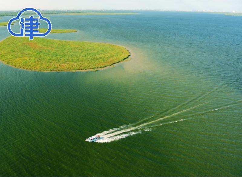 静海千年运河历史变迁_静海荷塘月色_静海运河文化保护