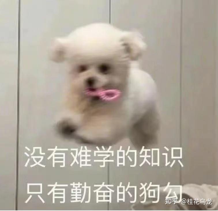 新奥天天彩最精准大全 对雅思考试一无所知，该如何高效备考？（雅思考试问题十问十答，雅思备考保姆式攻略）