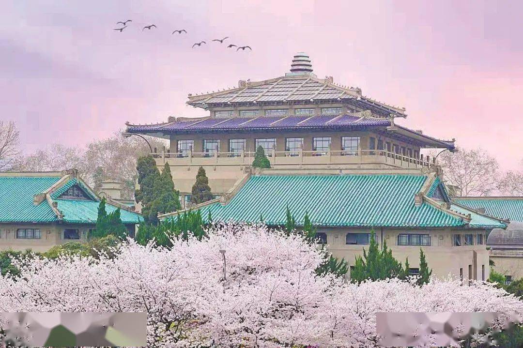 全国重点大学档次排名_中国南昌大学_中国大学排名