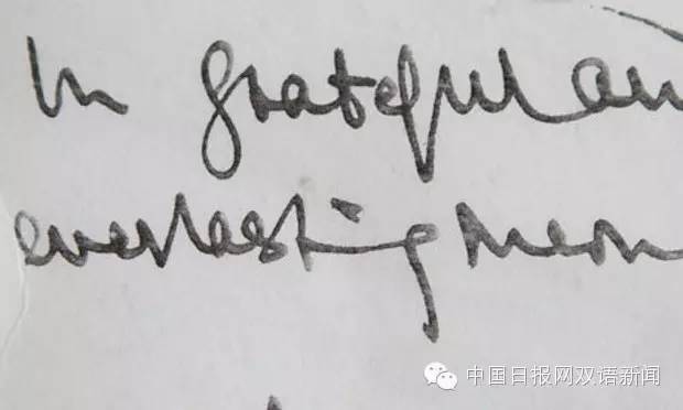 英文书法练习培训_english calligraphy fonts_calligraphy pen nib types