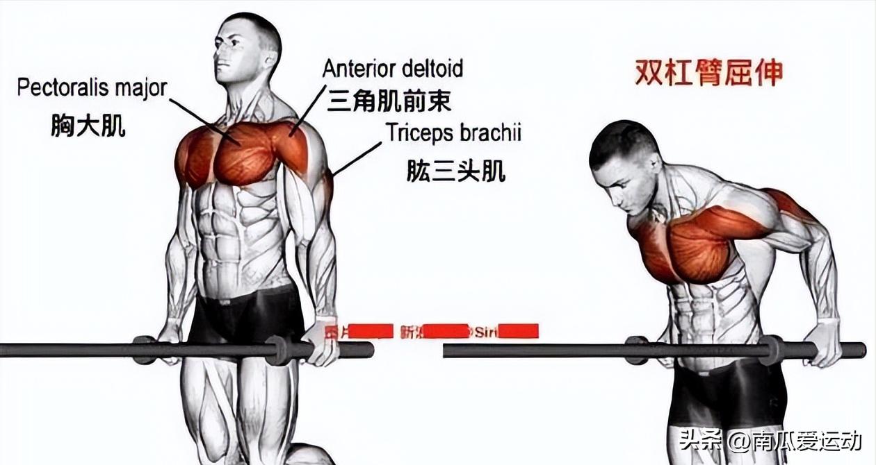 高效胸肌打造动作_综合训练器 胸肌_胸肌训练动作