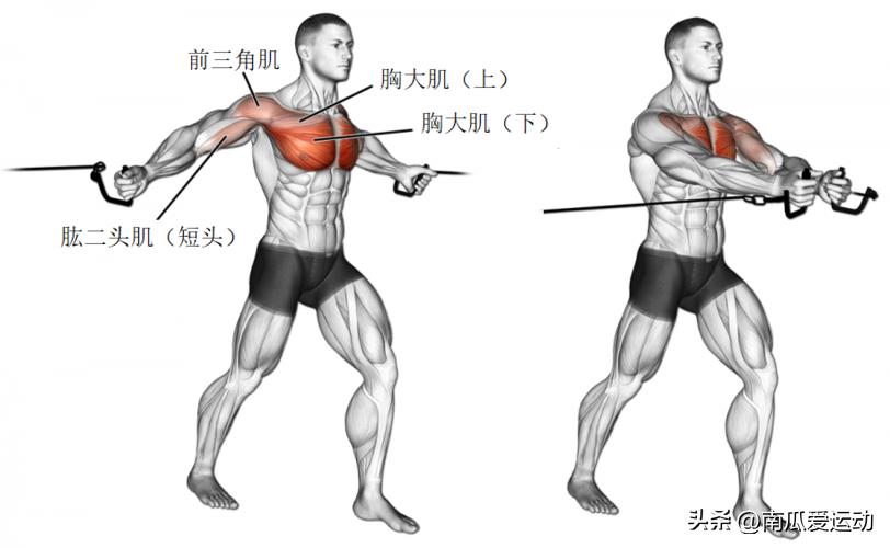 胸肌训练动作_综合训练器 胸肌_高效胸肌打造动作