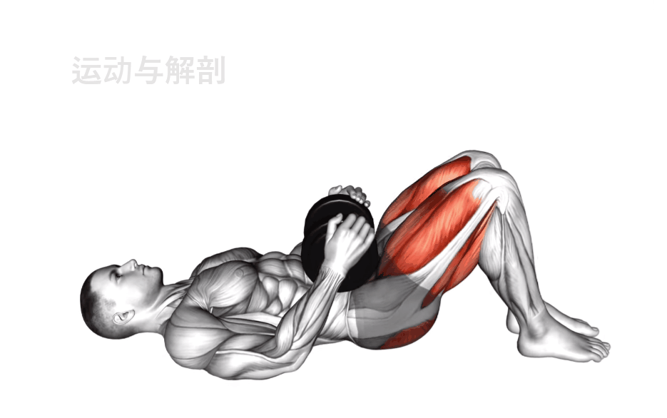 力量训练延缓衰老_大型全身综合训练器_哑铃全身训练教程