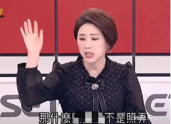 许贵雅怒拍桌事件_台湾新闻节目_台湾政论节目主持人拍桌怒呛