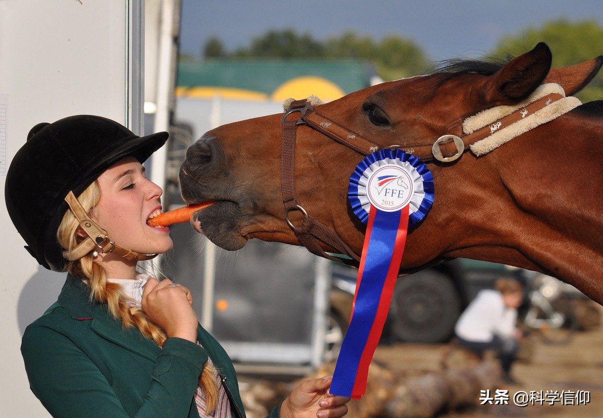 喝水呛死_人类噎死原因_哺乳动物食道气管结构差异