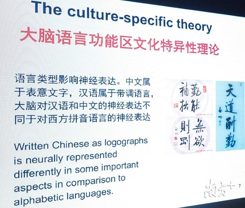 练习拼音打字下载_儿童过度使用拼音输入法影响大脑中文阅读中枢发育_拼音输入法对儿童中文阅读能力的影响