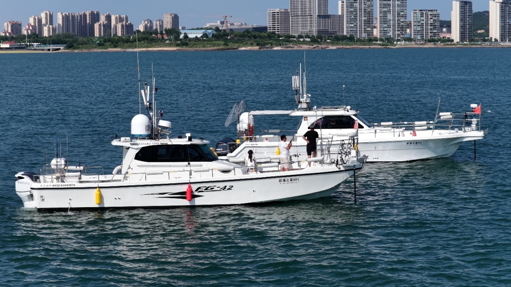 青岛海钓攻略_天津租船海钓_青岛海钓刀鲅
