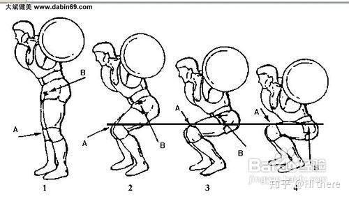 健身入门词汇_健身手套什么品牌好_健身解剖词汇
