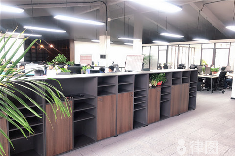 公司法定代表人可以是谁？