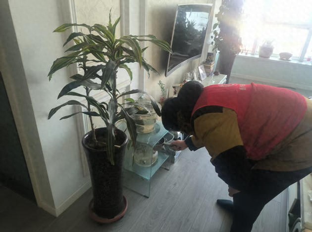 2025年天天彩免费大全 社区新闻速递